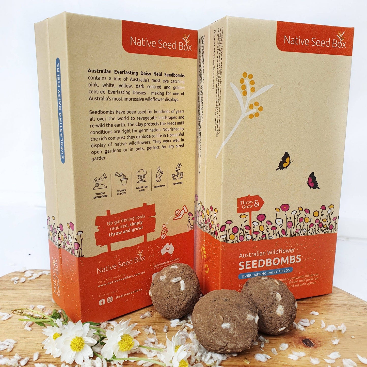 Everlasting Daisy Fields