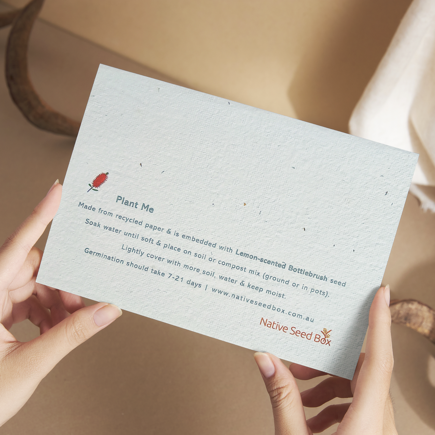 Plantable Waratah Card - Lemon Scented Bottlebrush