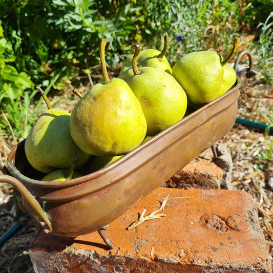 Too many pears? Never!