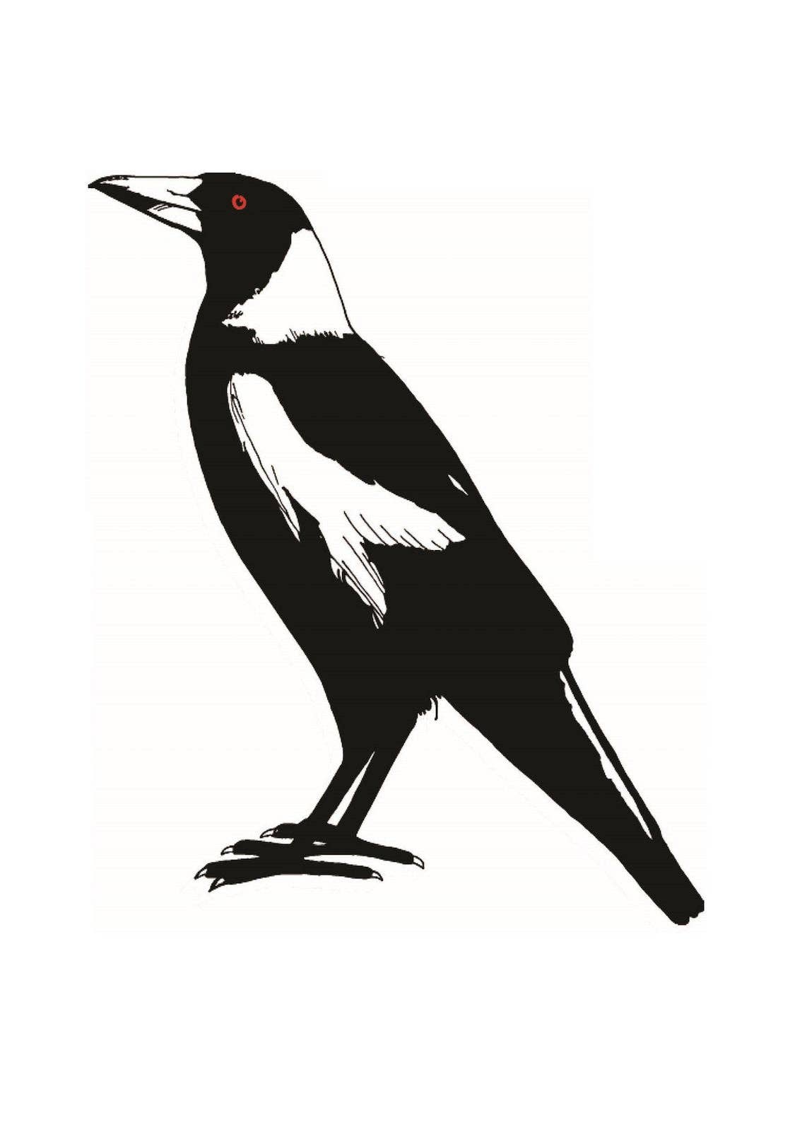 Tea towel - 100% cotton, large magpie