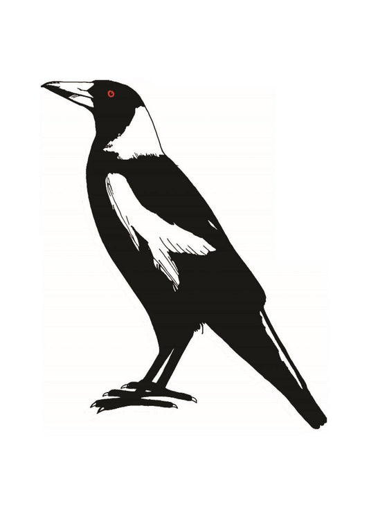 Tea towel - 100% cotton, large magpie