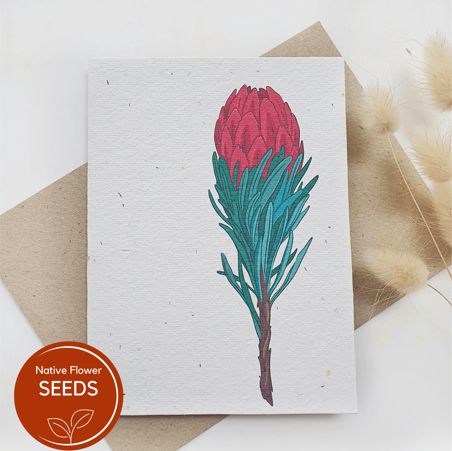 Plantable Waratah Card - Lemon Scented Bottlebrush