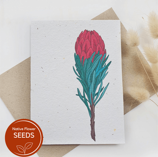 Plantable Waratah Card - Lemon Scented Bottlebrush