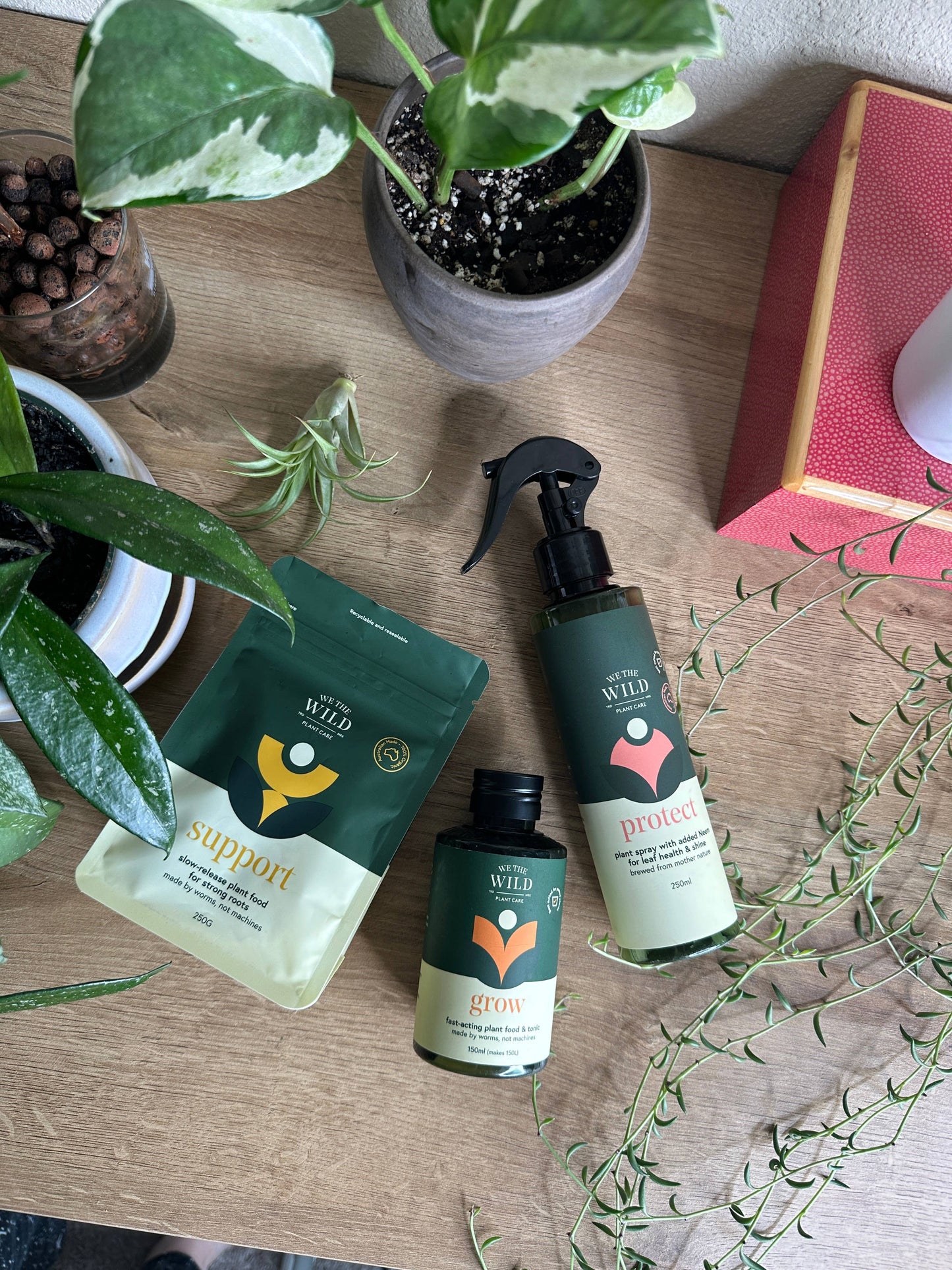 Let It Grow Essentials Kit