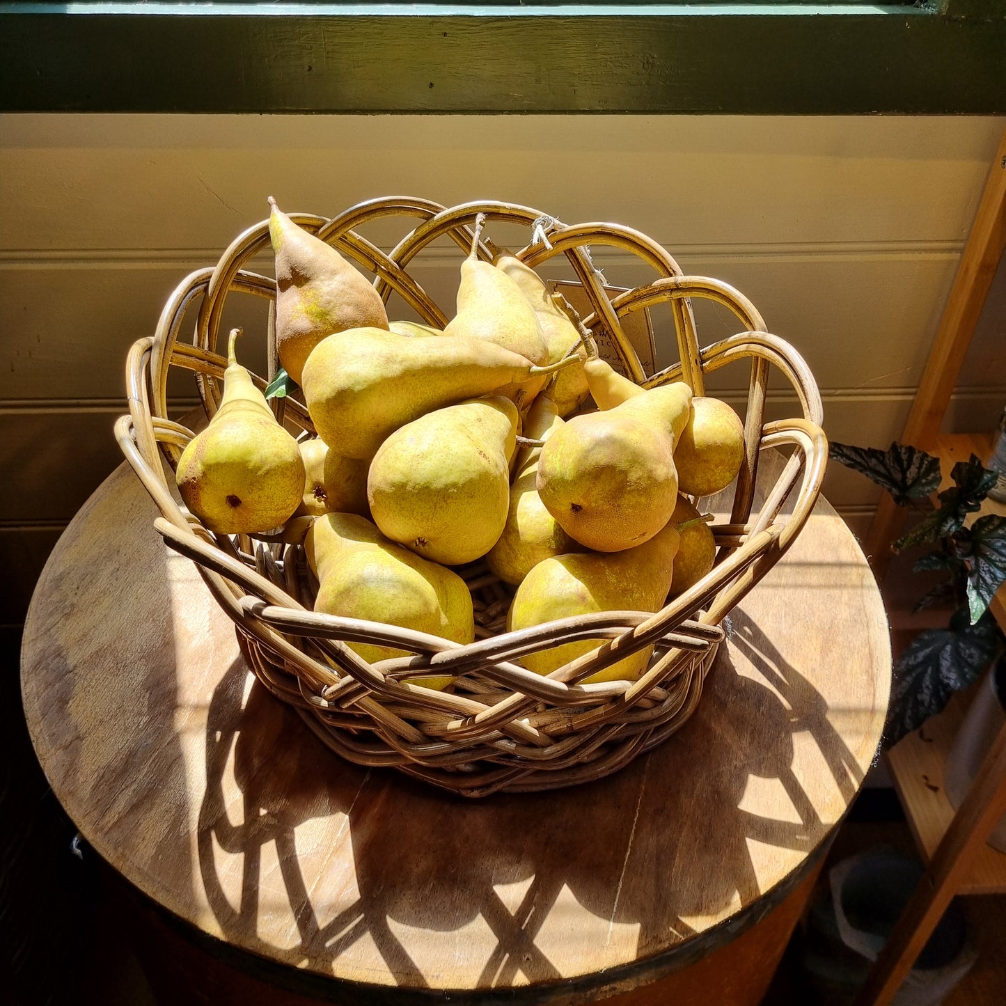 Crabtree open weave basket