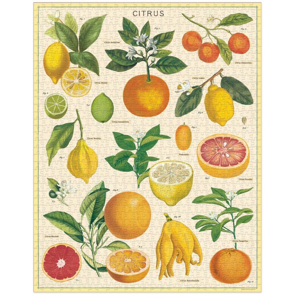 Cavallini vintage jigsaw puzzles | 1000 pieces