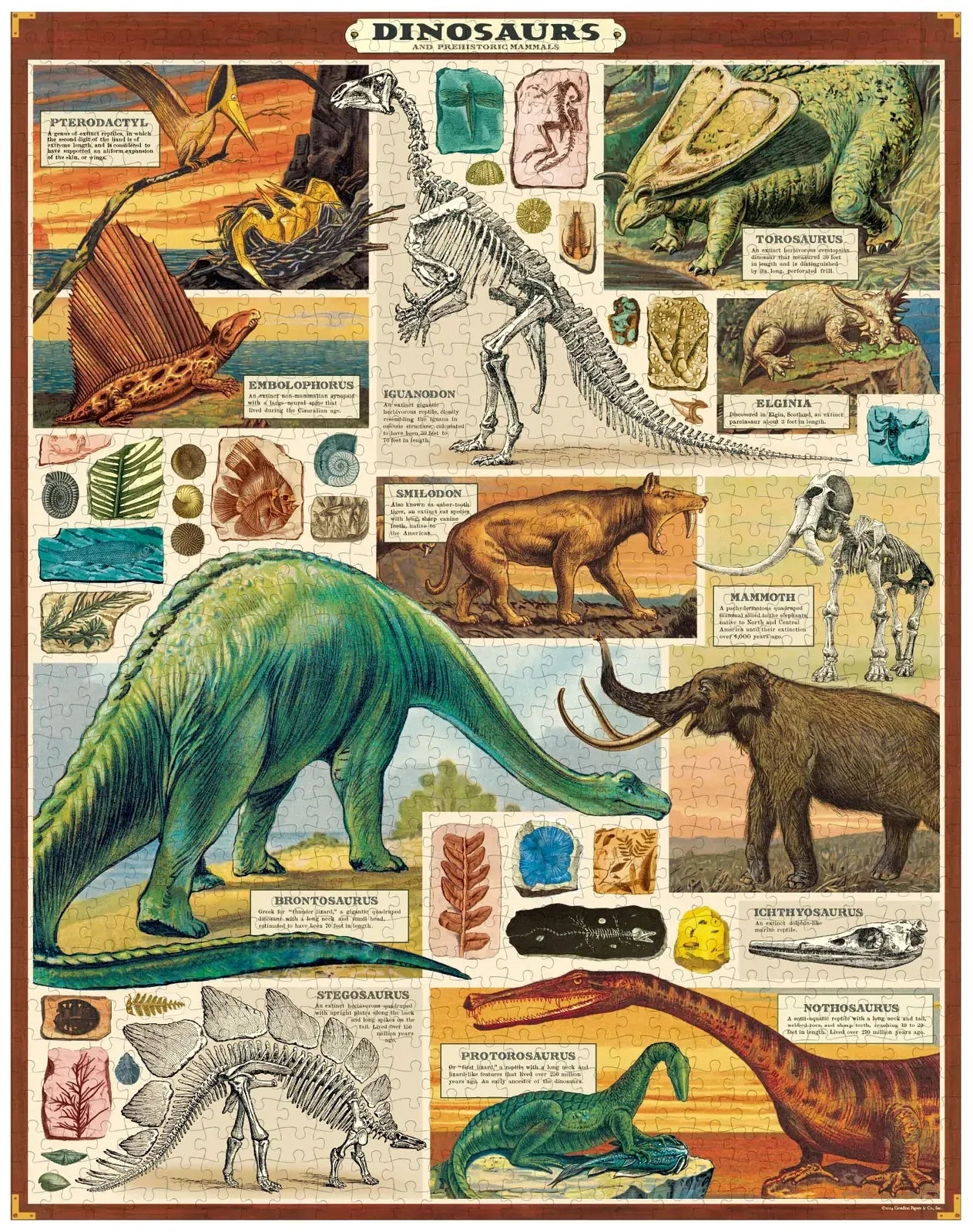 Cavallini vintage jigsaw puzzles | 1000 pieces
