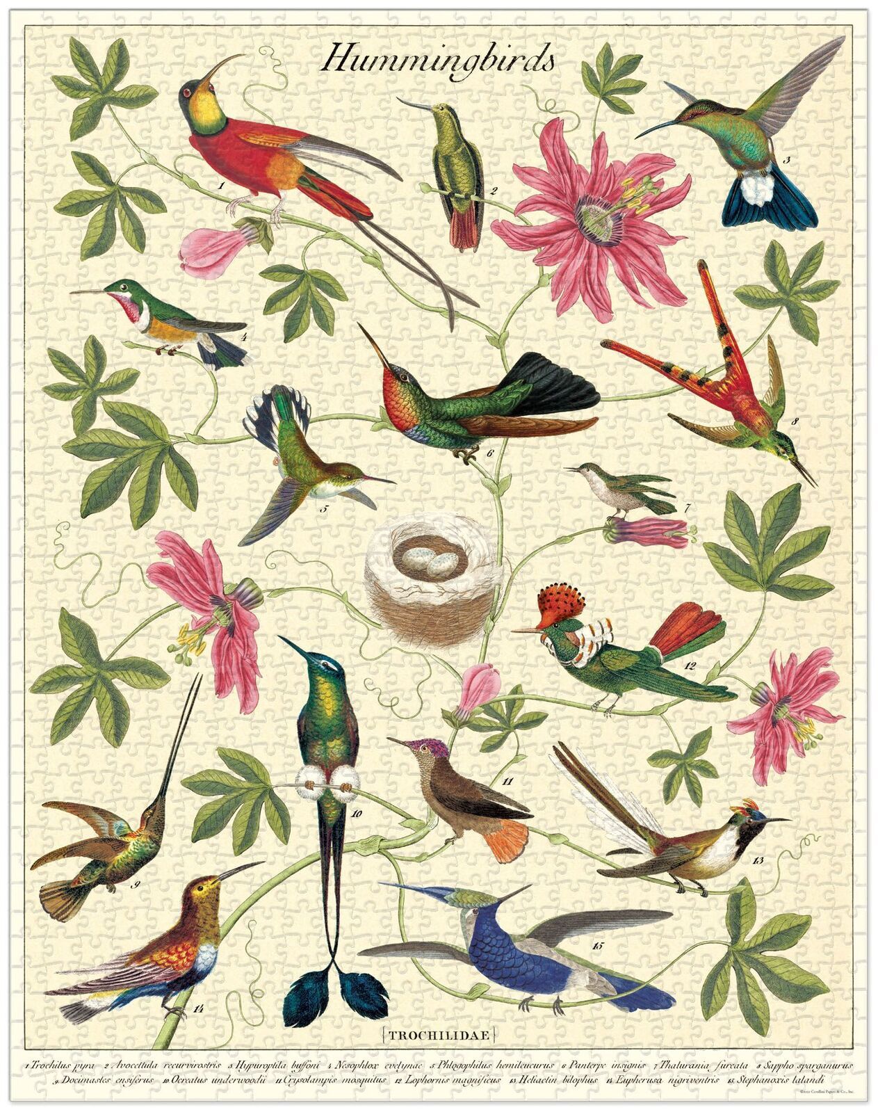 Cavallini vintage jigsaw puzzles | 1000 pieces